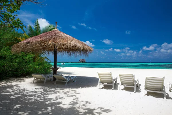 Tropischer Strand auf den Malediven — Stockfoto