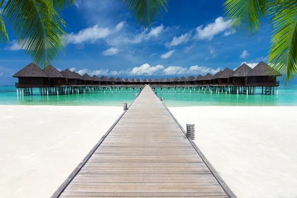 Tropisch strand op de Malediven — Stockfoto