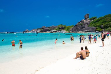 tropikal Deniz Manzaralı