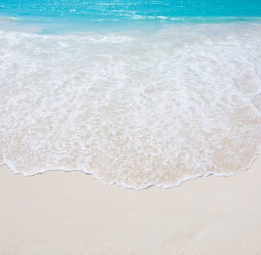  tropikal Deniz Manzaralı