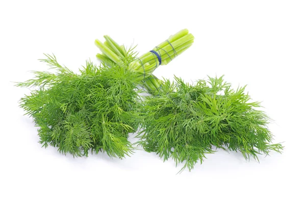 Frischer grüner Dill — Stockfoto