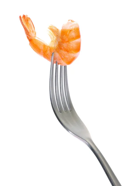 One shrimp on fork — Stock Photo, Image