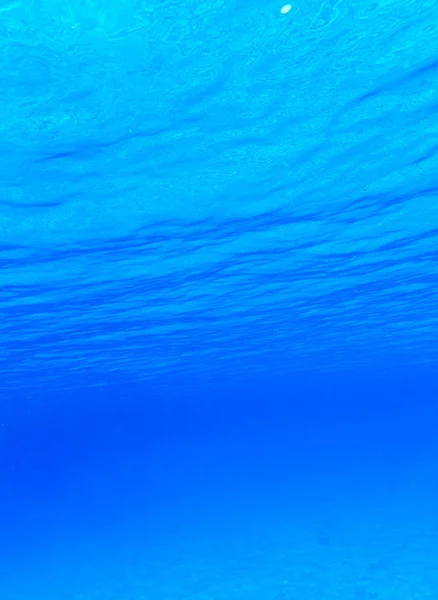 Tranquil underwater scene — Stock Photo, Image