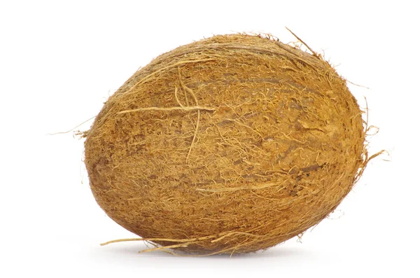 Весь кокос на белом — стоковое фото