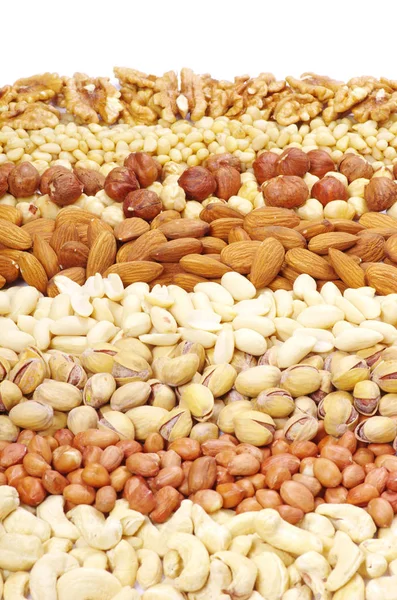 Nuts collection background — Stock Photo, Image