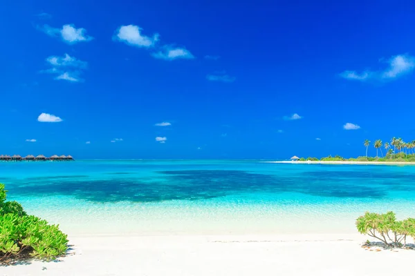 Tropisk strand i Maldiverna — Stockfoto