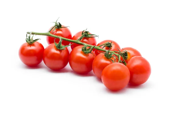 背景为白色的番茄 — 图库照片