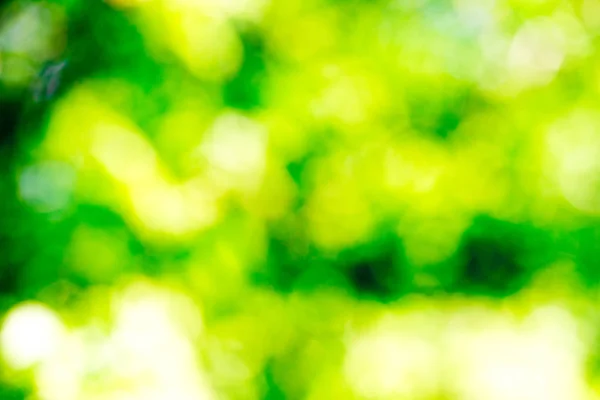 Grüner Bokeh Hintergrund — Stockfoto