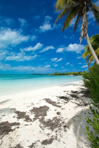 Vue sur la mer tropicale — Photo