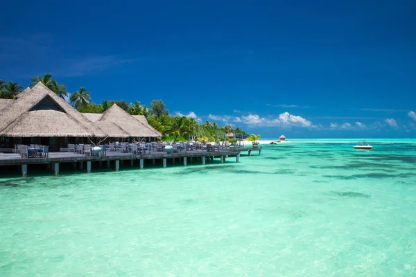 Maldivler 'deki tropik plaj - Stok İmaj