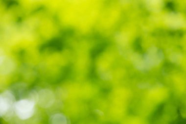 yeşil renkli arka plan 