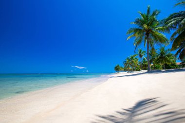 Güzel tropikal plaj 