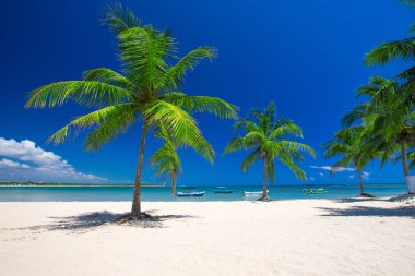 sri Lanka tropikal plaj