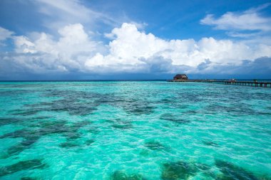 Maldivler 'deki tropik plaj 