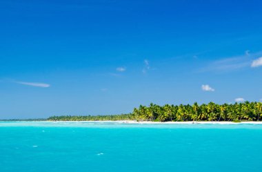 plaj ve tropikal deniz