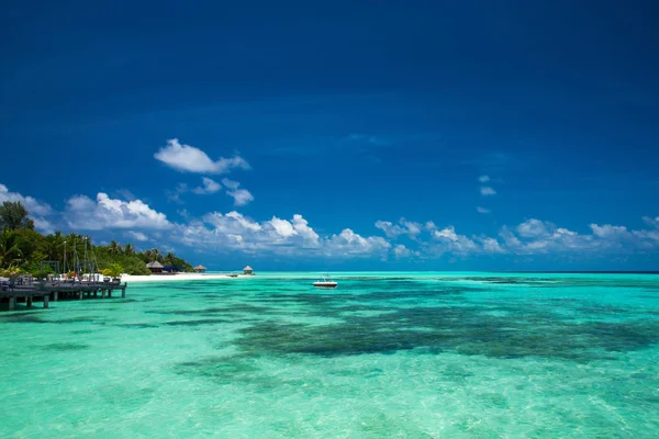 Tropisch strand op de Malediven — Stockfoto