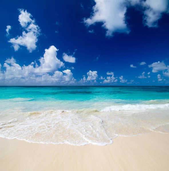Tropikalne morze tło — Zdjęcie stockowe
