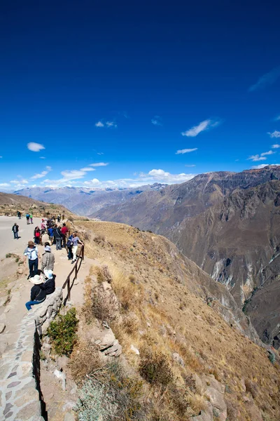 Condor Colca Kanyon izlerken turist — Stok fotoğraf