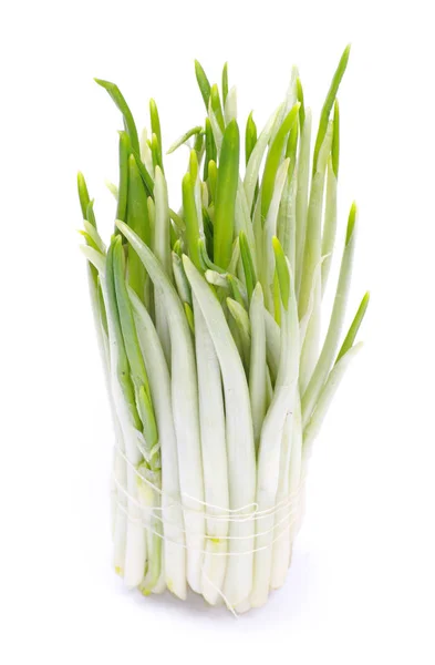 Ramson gäng vegetabiliska — Stockfoto