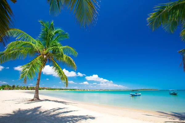 Tropisch strand in sri lanka Rechtenvrije Stockafbeeldingen