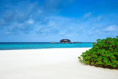 Maldivler 'deki tropik plaj