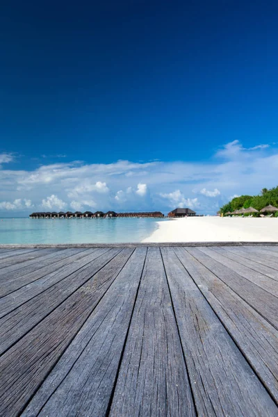 Pantai tropis di Maladewa — Stok Foto