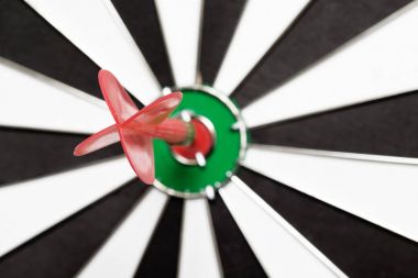 Dart okları yakın çekim