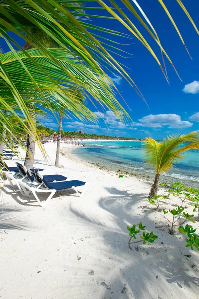  Maldivler 'deki tropik plaj 