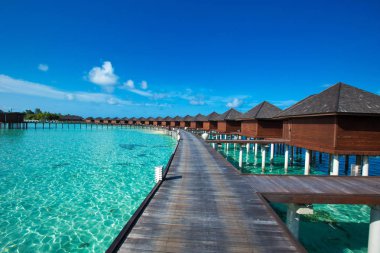 Maldivler 'deki tropik plaj