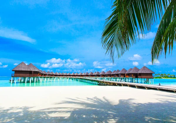 Praia tropical em Maldivas — Fotografia de Stock