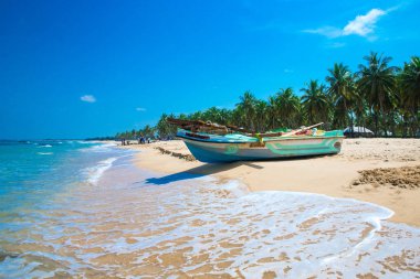 sri Lanka tropikal plaj