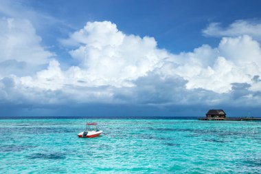 Maldivler 'deki tropik plaj