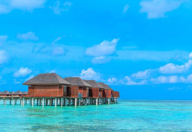 Maldivler 'deki tropik plaj