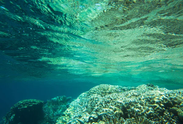 Tranquila escena submarina — Foto de Stock