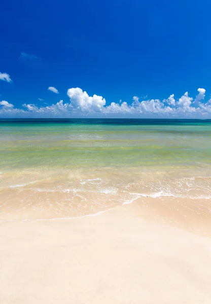 Plaja tropicala din Sri Lanka — Fotografie, imagine de stoc