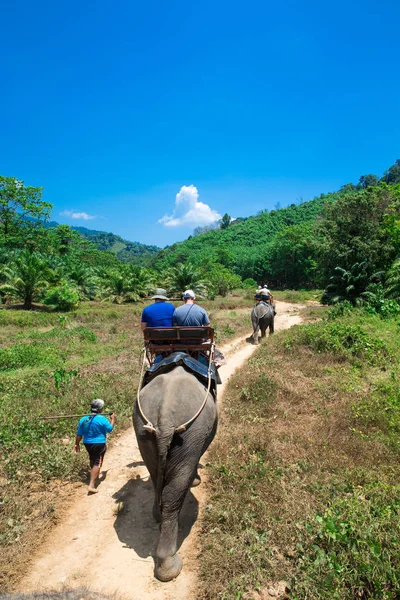 Trekking de elefantes en Kao-sok —  Fotos de Stock