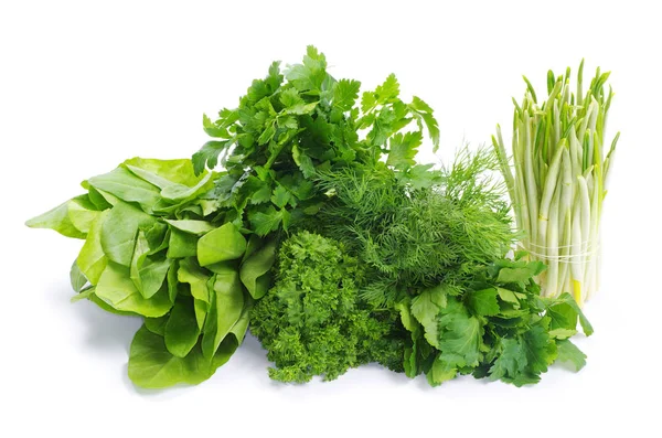 Fresh green herbs — Stock Photo, Image