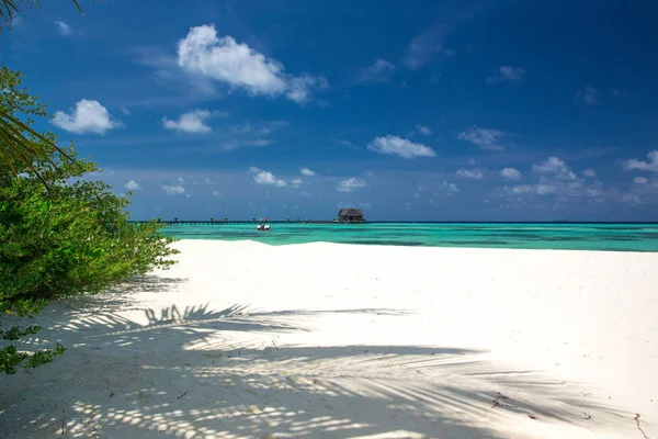 Tropical beach in Maldives — Stock Photo, Image