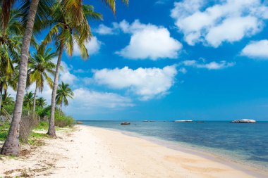 sri Lanka tropikal plaj