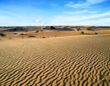 Altın Çölünde kum dokusu