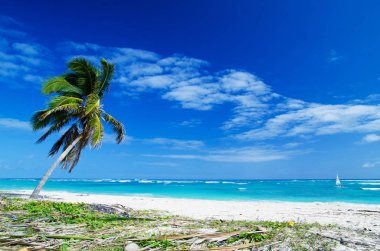 tatil ve turizm kavramı.