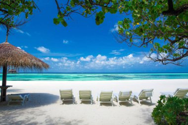Maldivler 'deki tropik plaj