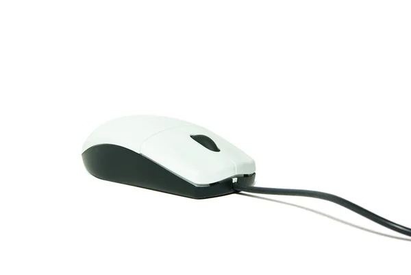 흰 배경에 있는 컴퓨터 마우스 — 스톡 사진