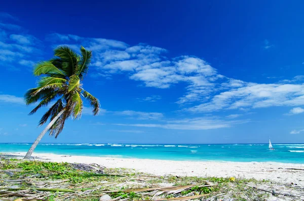 Vakantie en toerisme concept. — Stockfoto