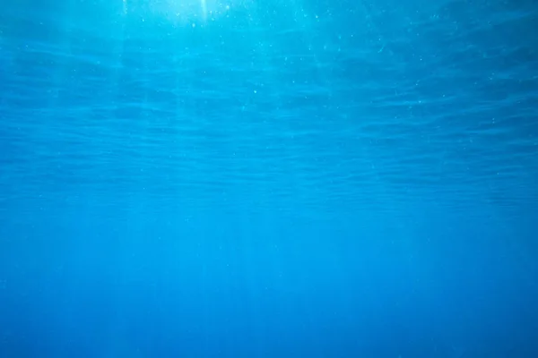 Tranquil underwater scene — Stock Photo, Image