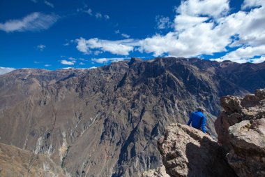 Condor Colca Kanyon izlerken turist