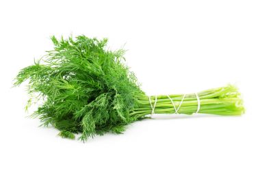 Beyaz üzerine taze dereotu