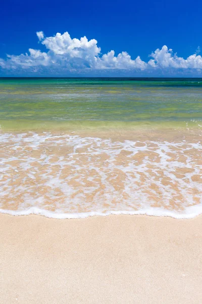 Tropisk strand i sri lanka. — Stockfoto