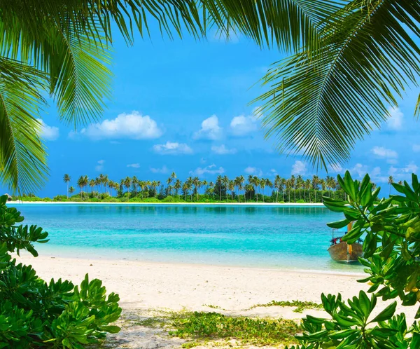 Tropical beach in Maldives — Stock Photo, Image