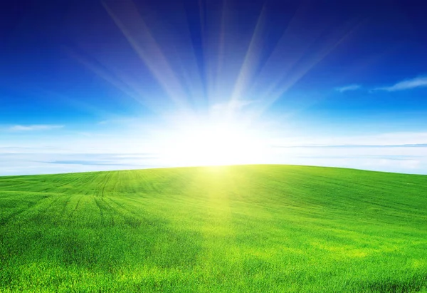 Campo verde e céu azul — Fotografia de Stock